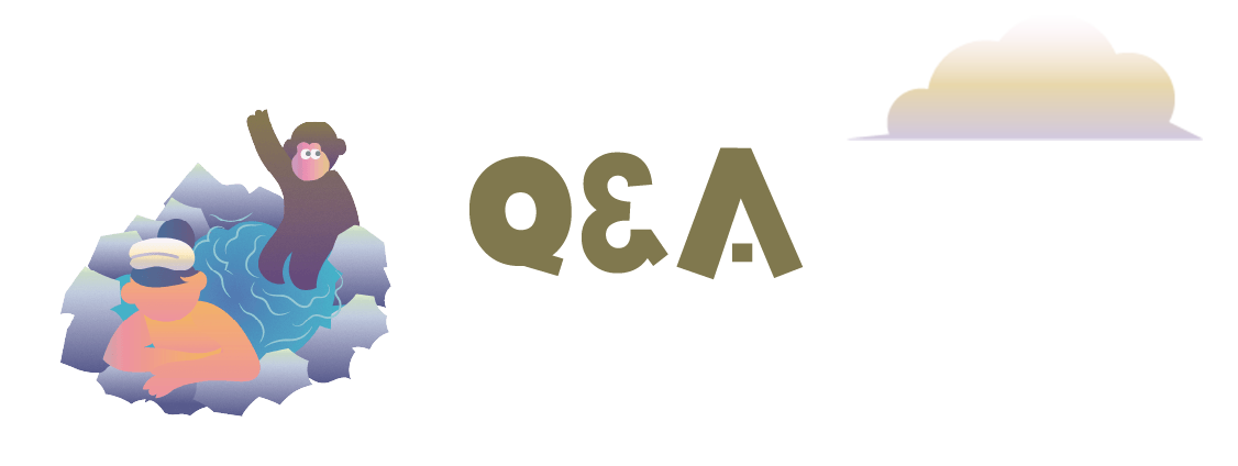 Q&A
